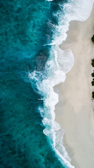 Main resort view showcasing luxury chalets